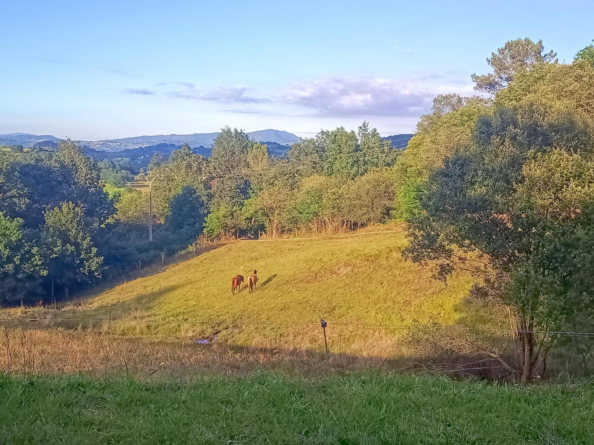 Casa Rural Tulia Grado Luaran gambar